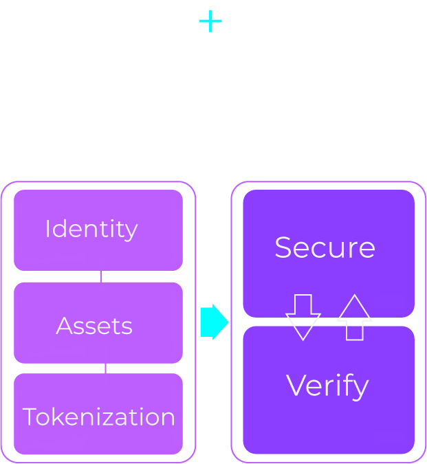 Private Layer consists of Identity, Assets, and Tokenization while Public Layer consists of Secure and Verify